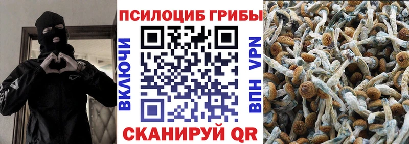 Псилоцибиновые грибы GOLDEN TEACHER  Купить закладки  Кодинск 