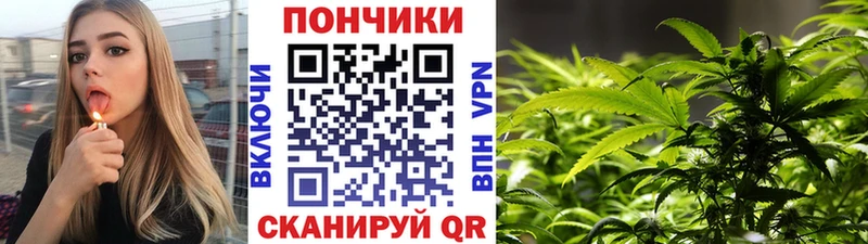 Купить  Кодинск  Бошки марихуана планчик 